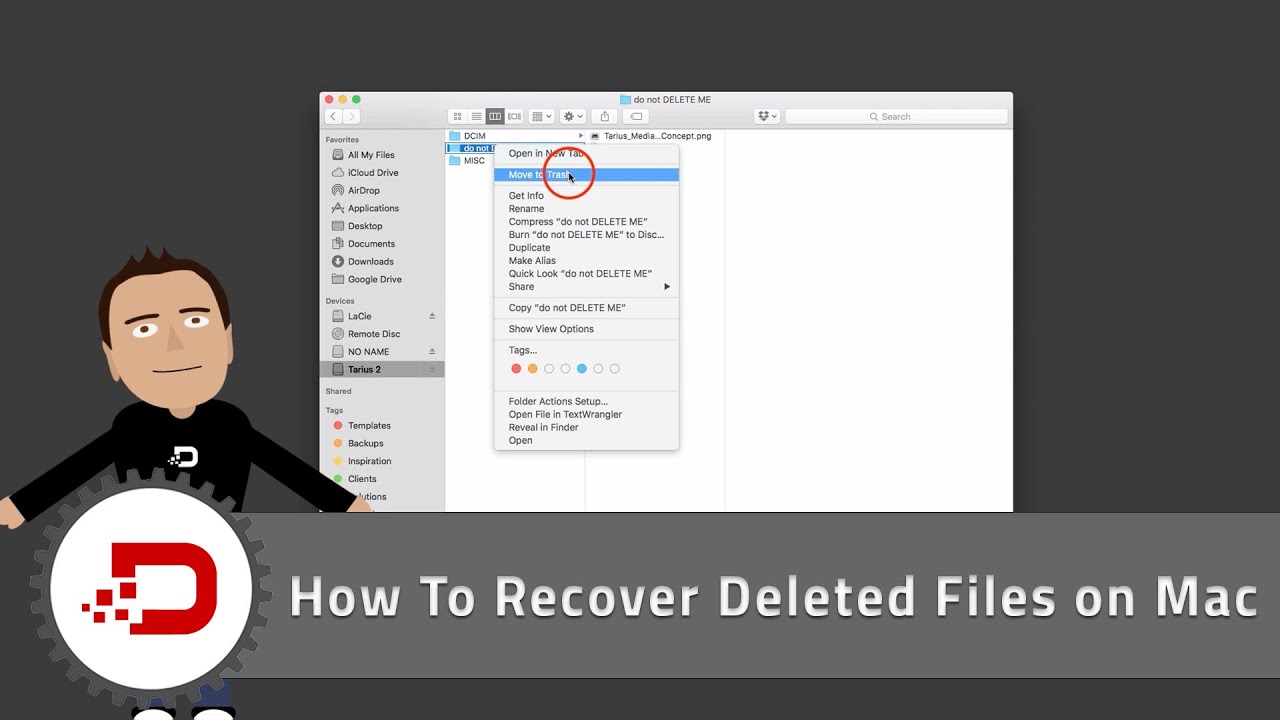 How To Recover Deleted Tally Data